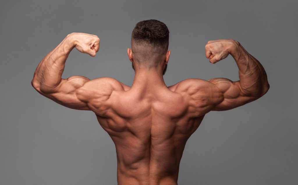 Which Whey Protein Powder For Ideal Muscle Mass?
